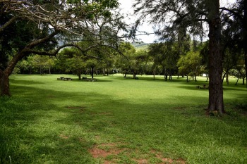 gallery/fp picnic areas comp